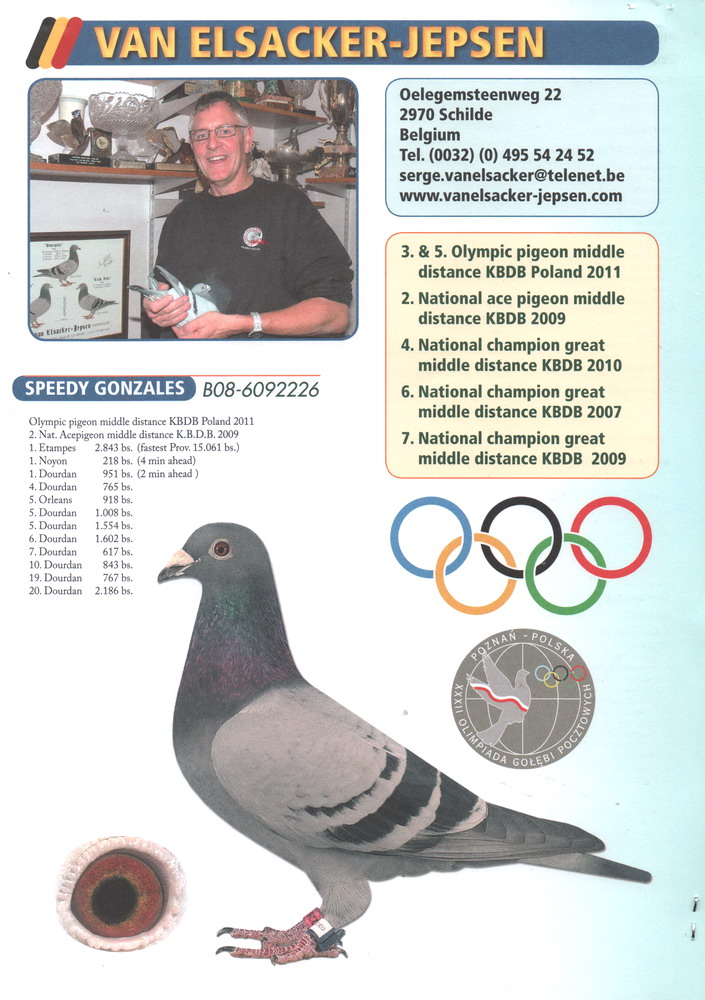 凡艾尔扎克原舍成绩鸽