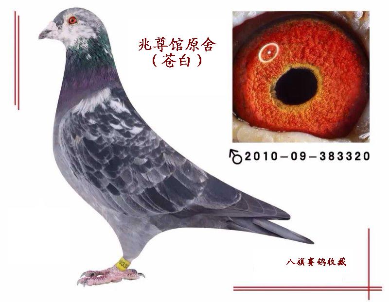 兆尊馆原舍