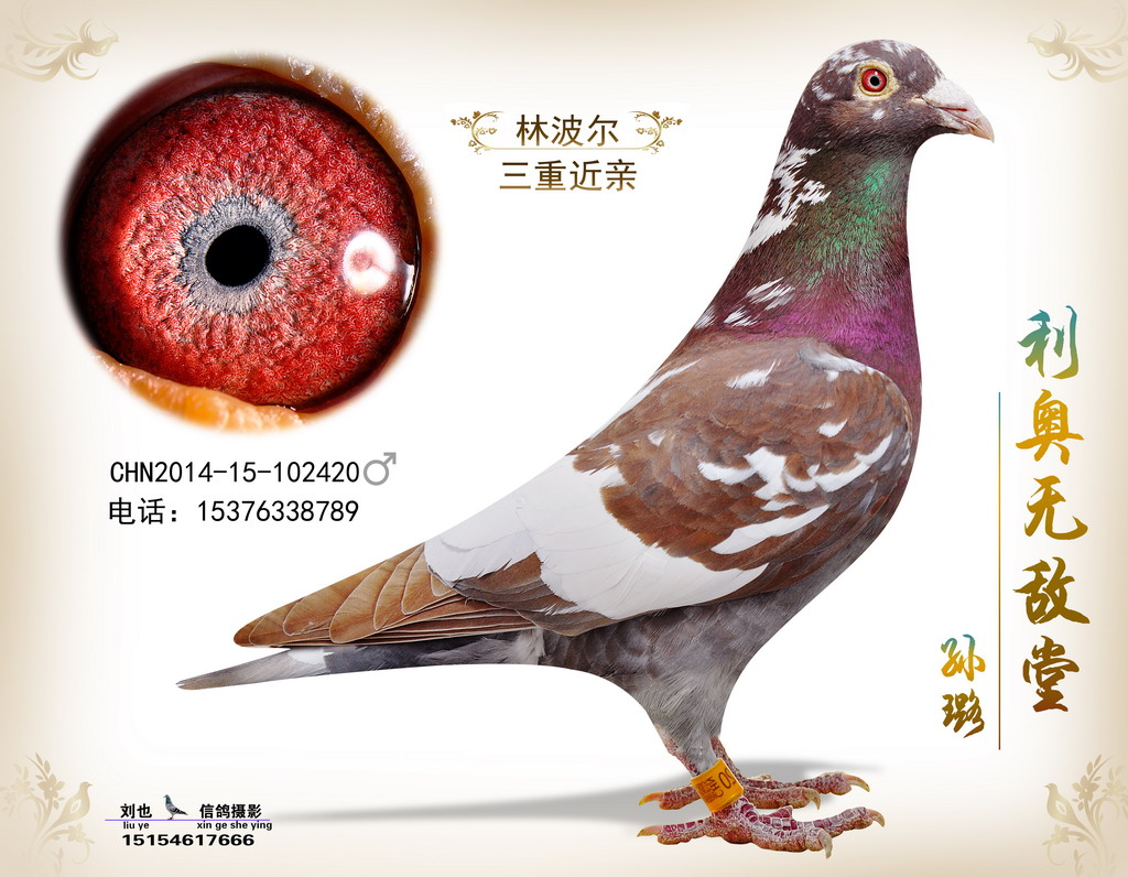 林波尔