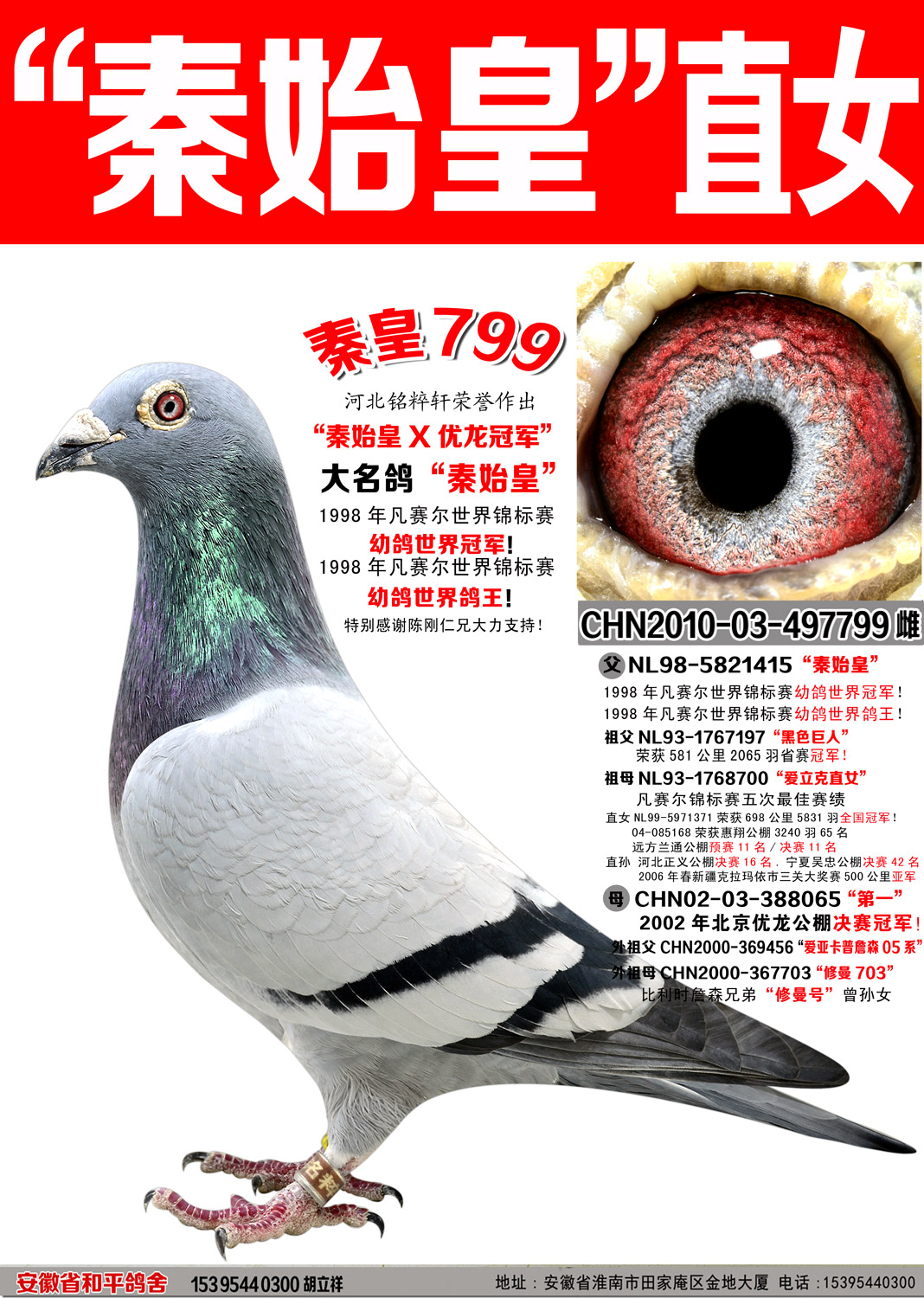 考夫曼秦始皇直女【秦皇007】