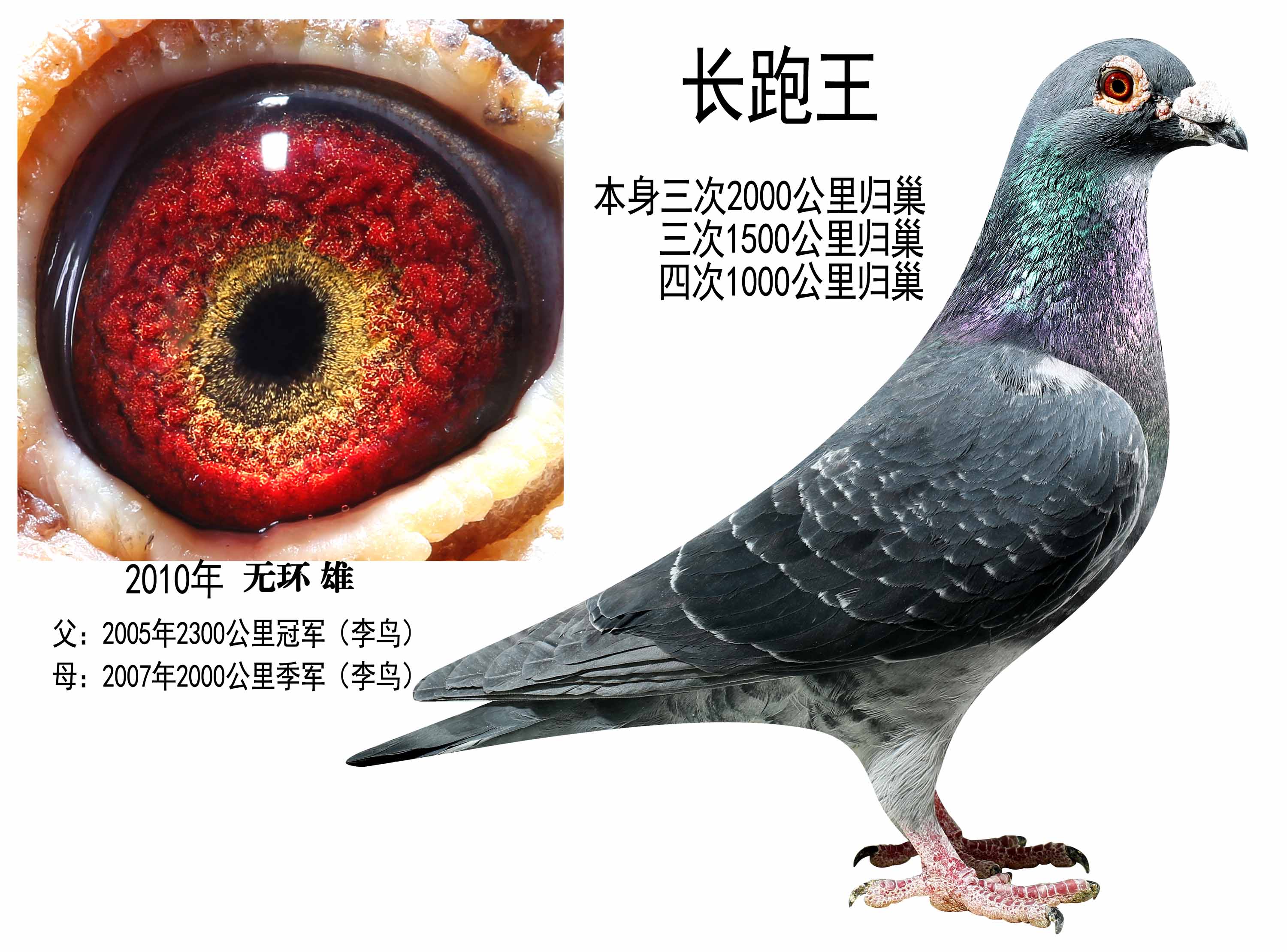 长跑王