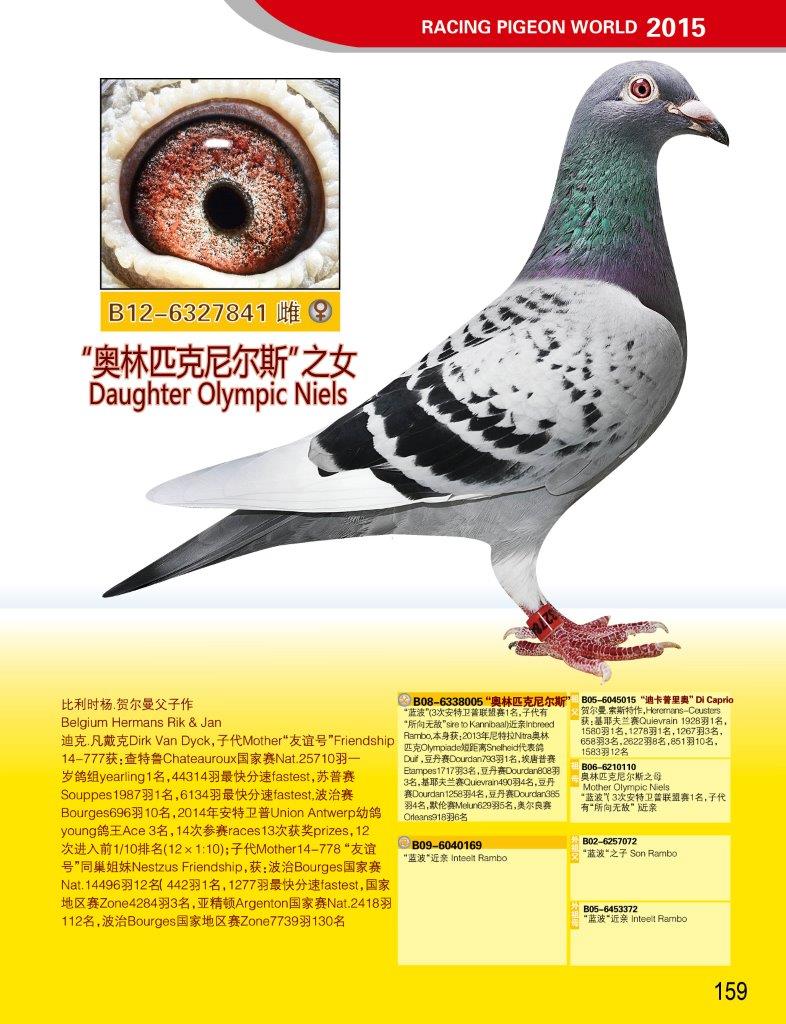 奥林匹克尼尔斯直女 olymp.niel