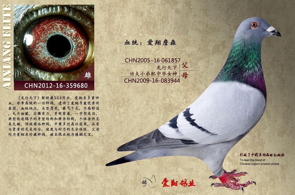 爱翔詹森