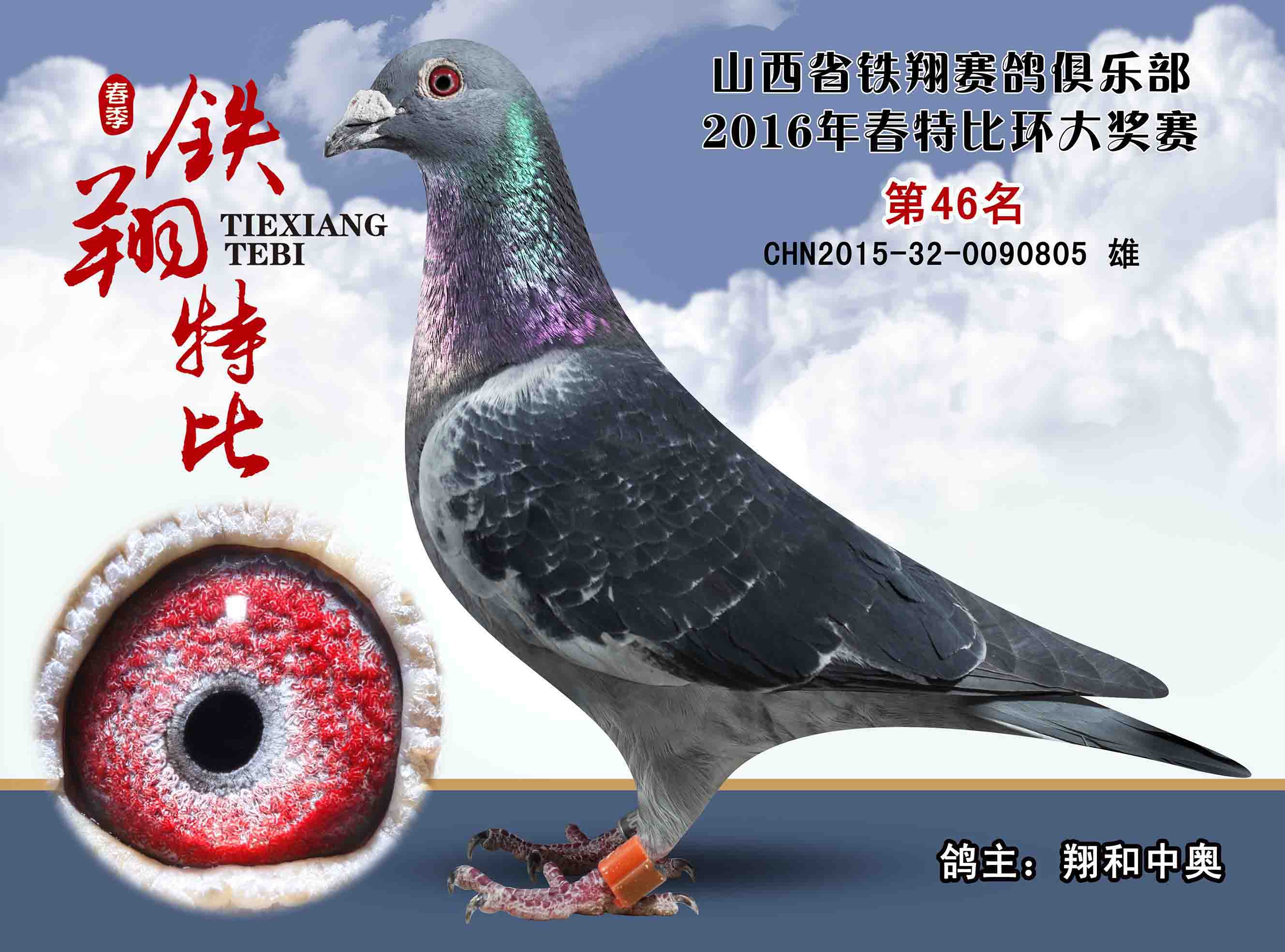 山西中奥刘宪信鸽展厅图片