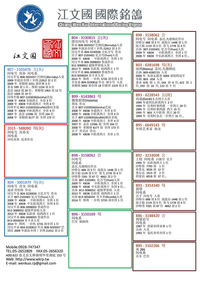 惠比特盖文血统表图片