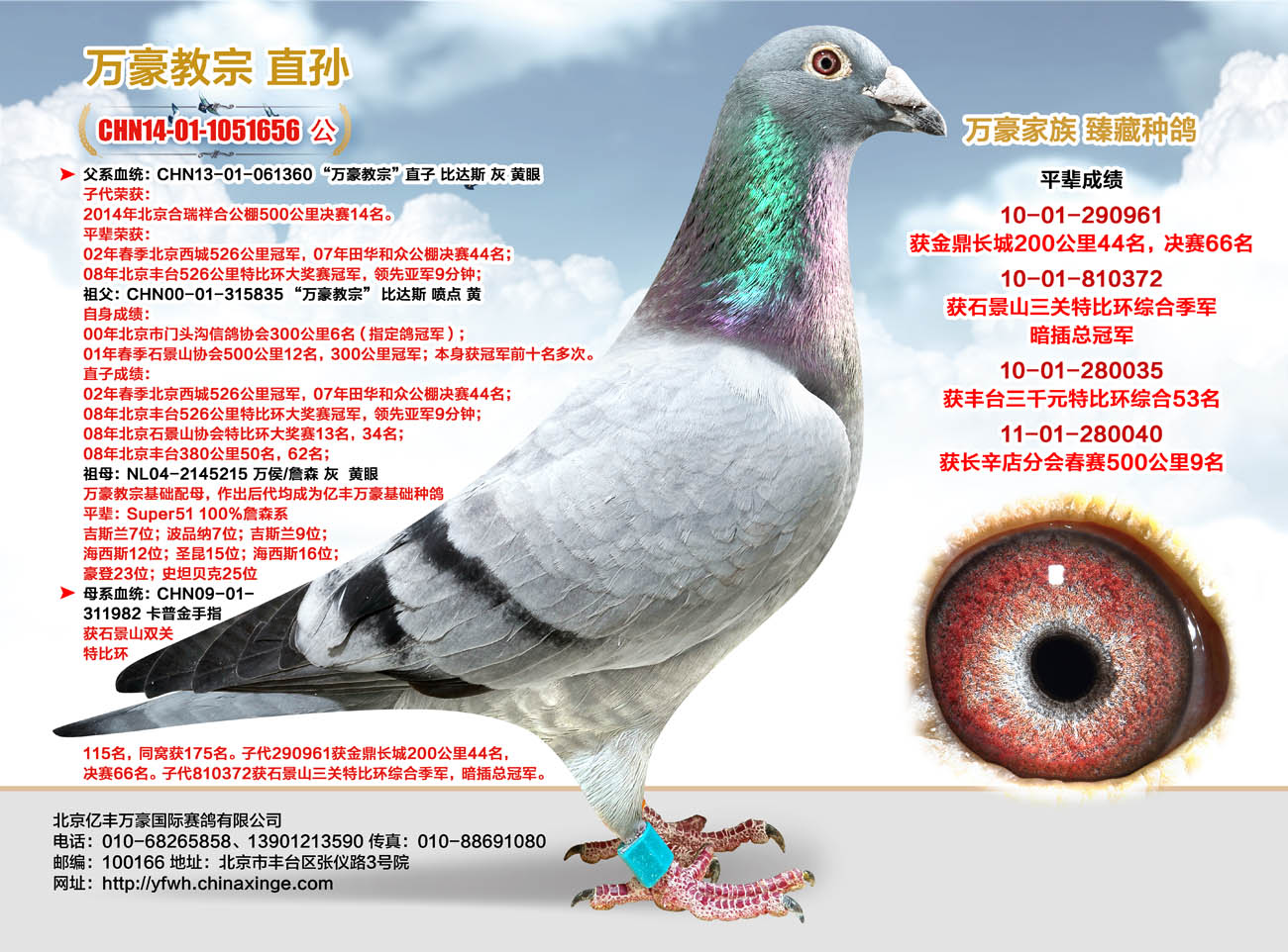 北京亿丰万豪公棚