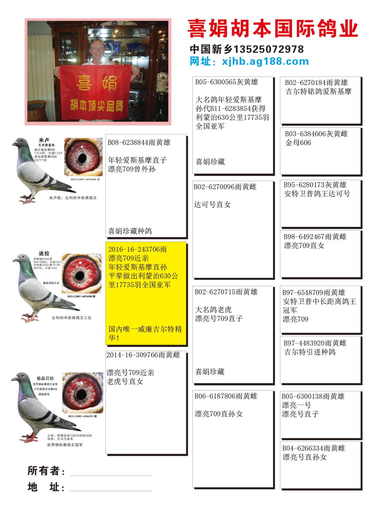 铭鸽佐罗直子_喜娟胡本系鸽业_ ag188.com爱鸽商城_中国信鸽信息网