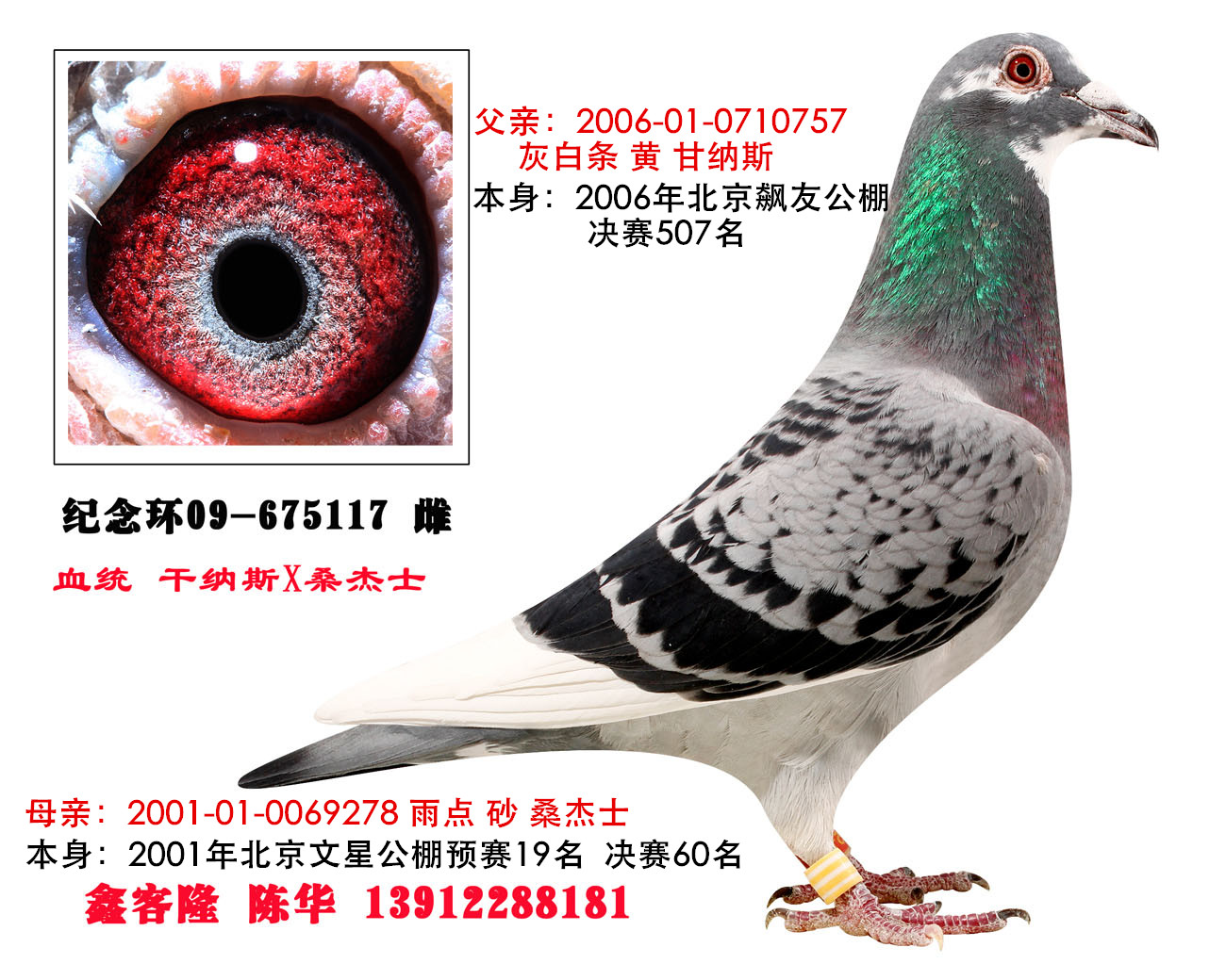 通鑫商城如何引领未来零售新趋势