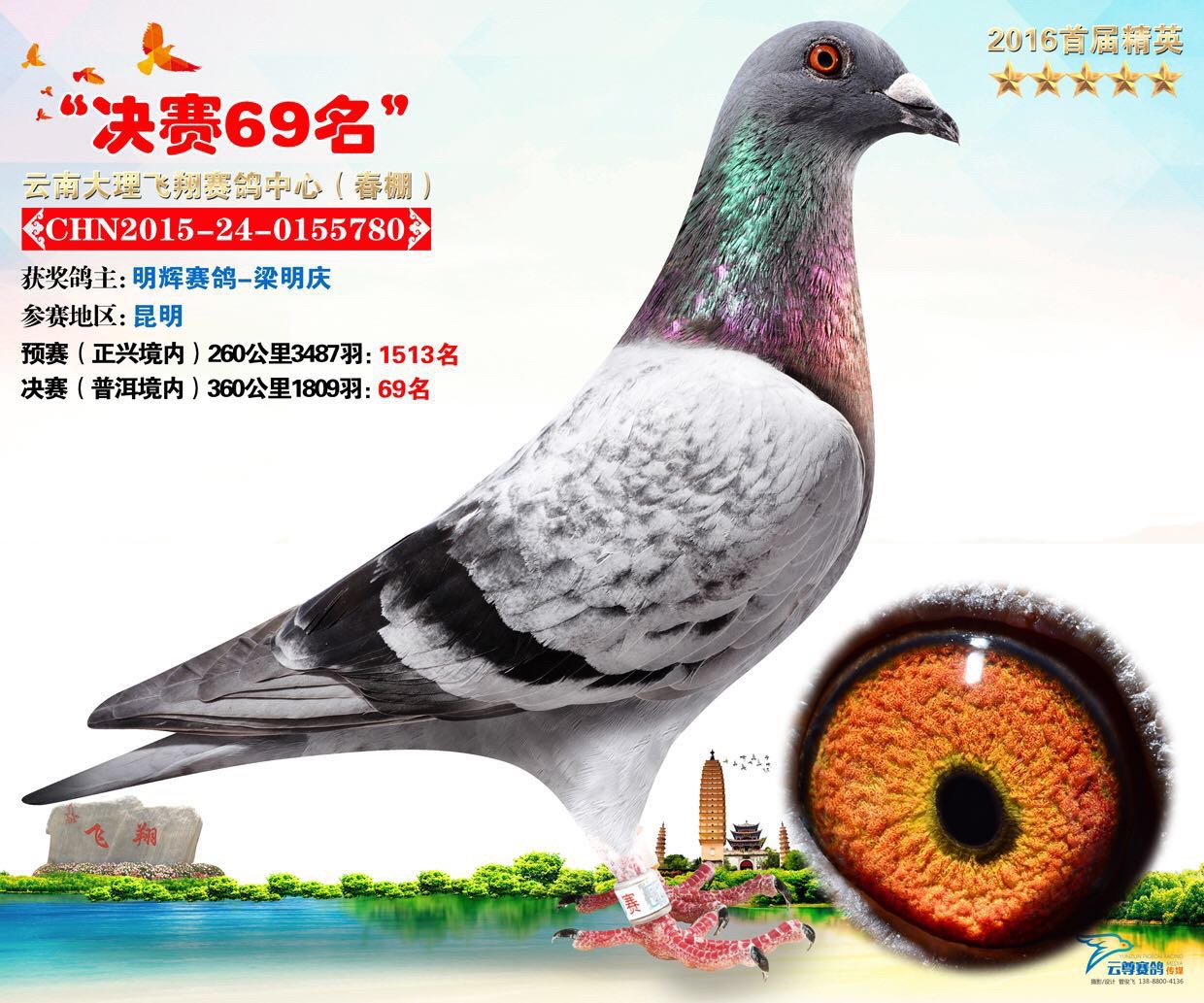 鸽王四位直子,大理飞翔春决赛69名_云南明辉赛鸽-中信网爱鸽商城