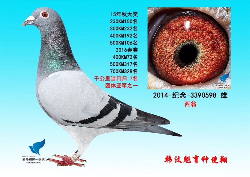 千公里 当日归 7名