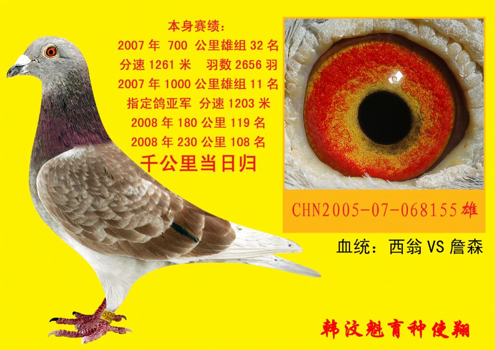 千公里 当日归 11名