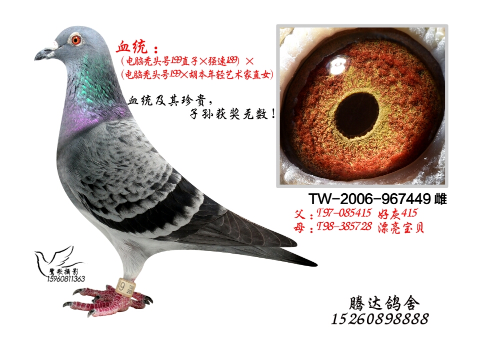 强速189×秃头199×年轻艺术家