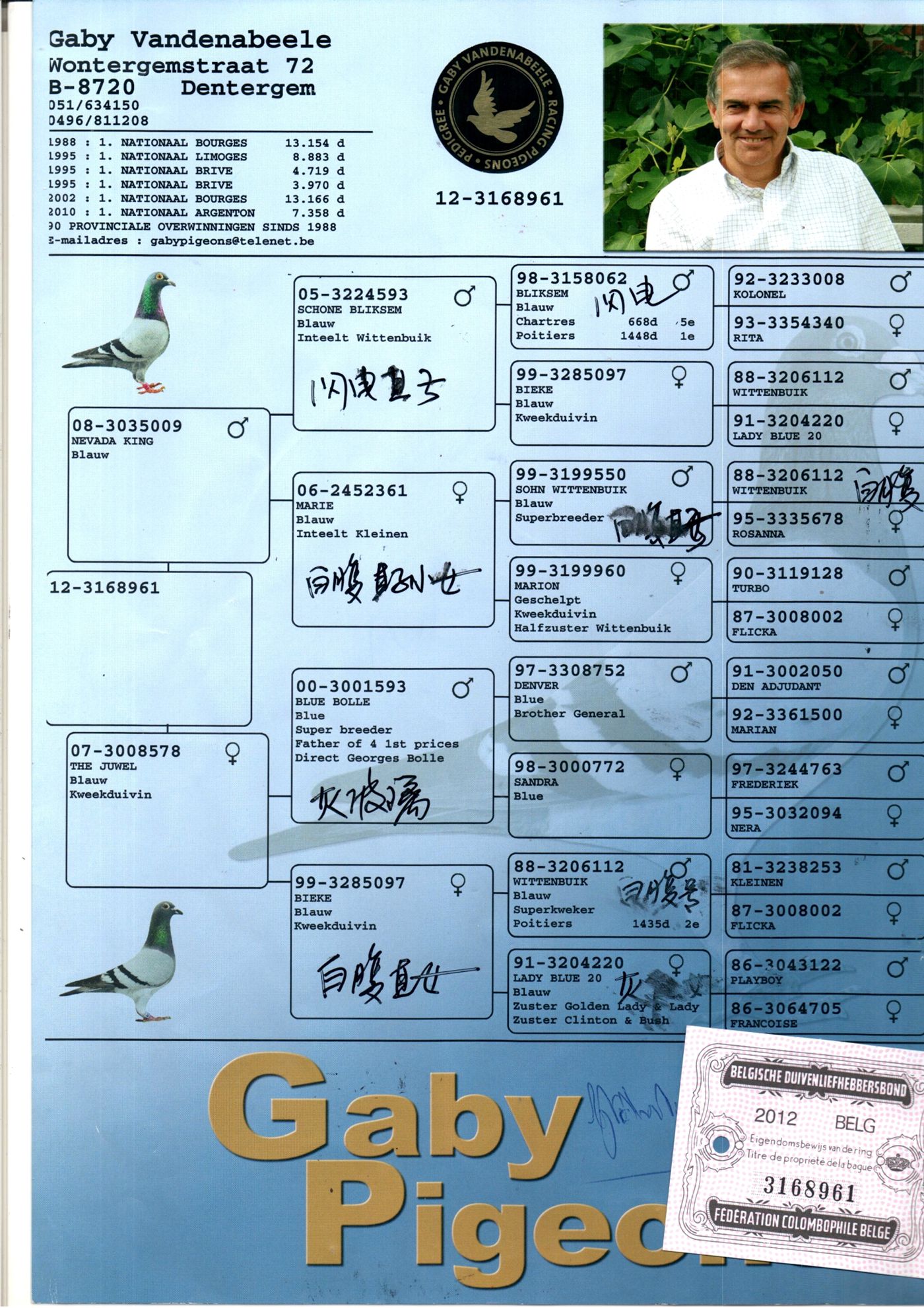 盖比内华达国王直子