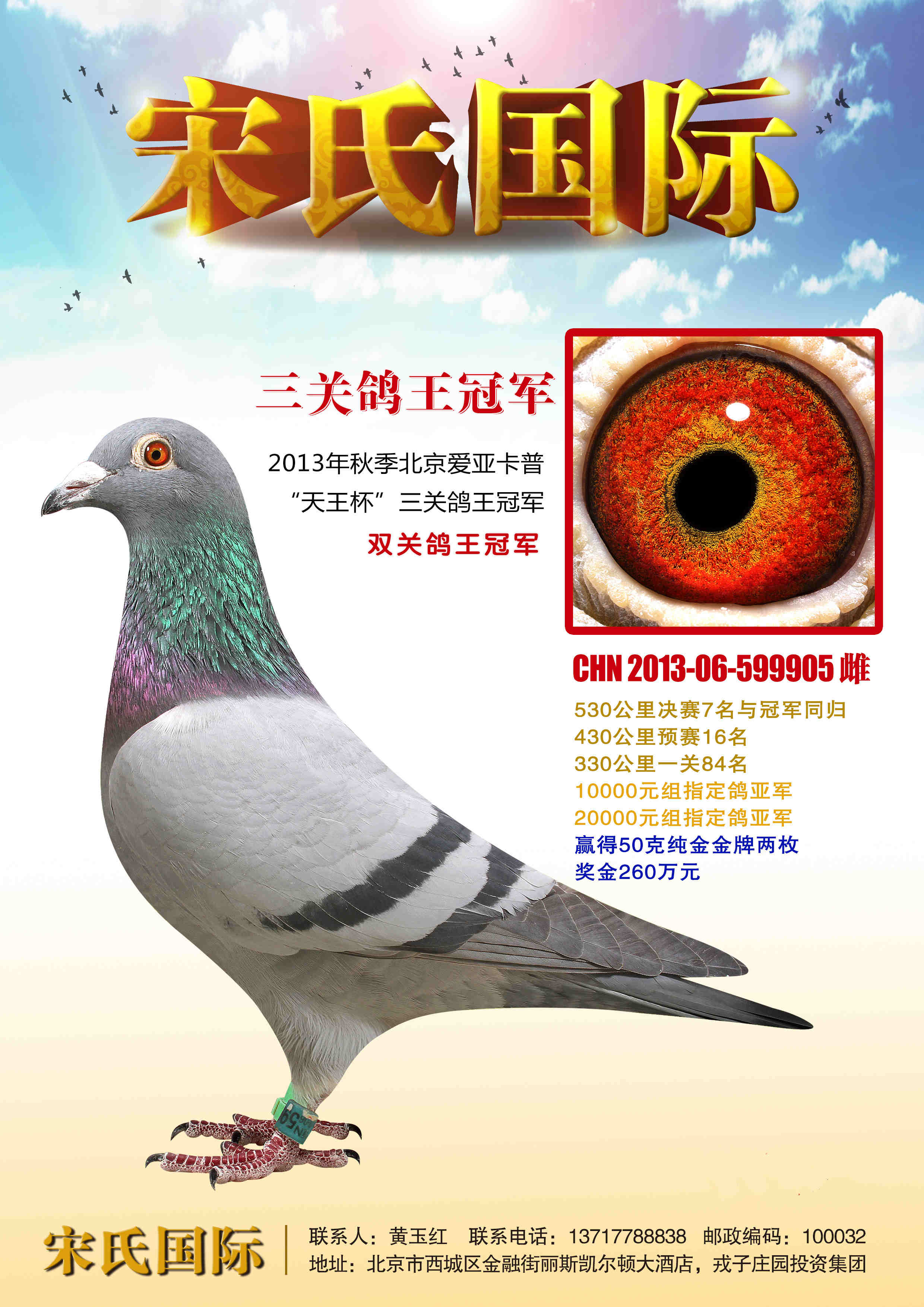 爱亚卡普三关鸽王冠军