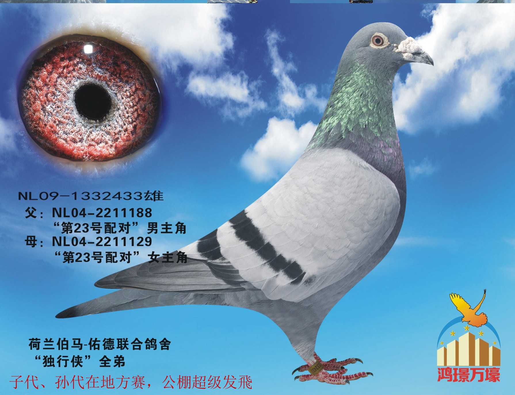 【独行侠】已售