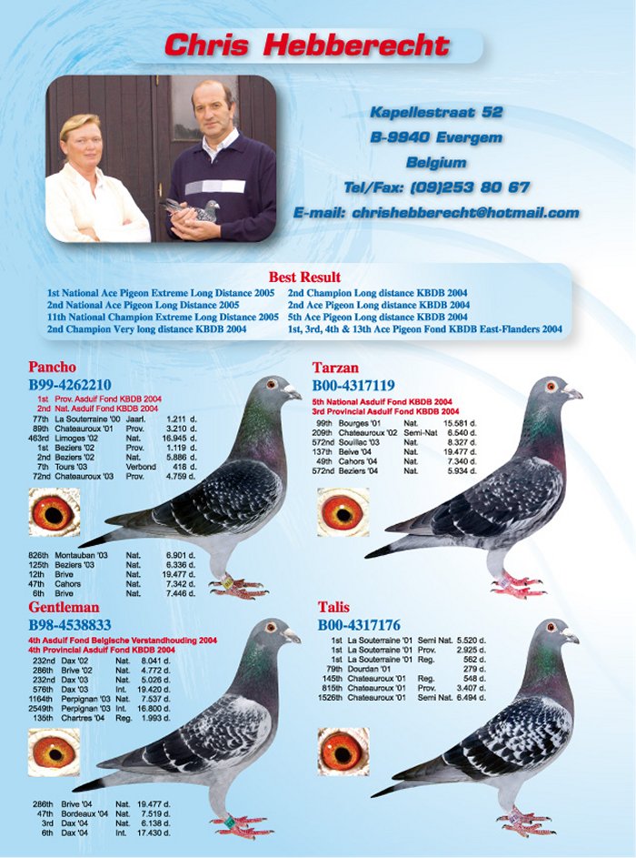 com爱鸽商城_中国信鸽信息网