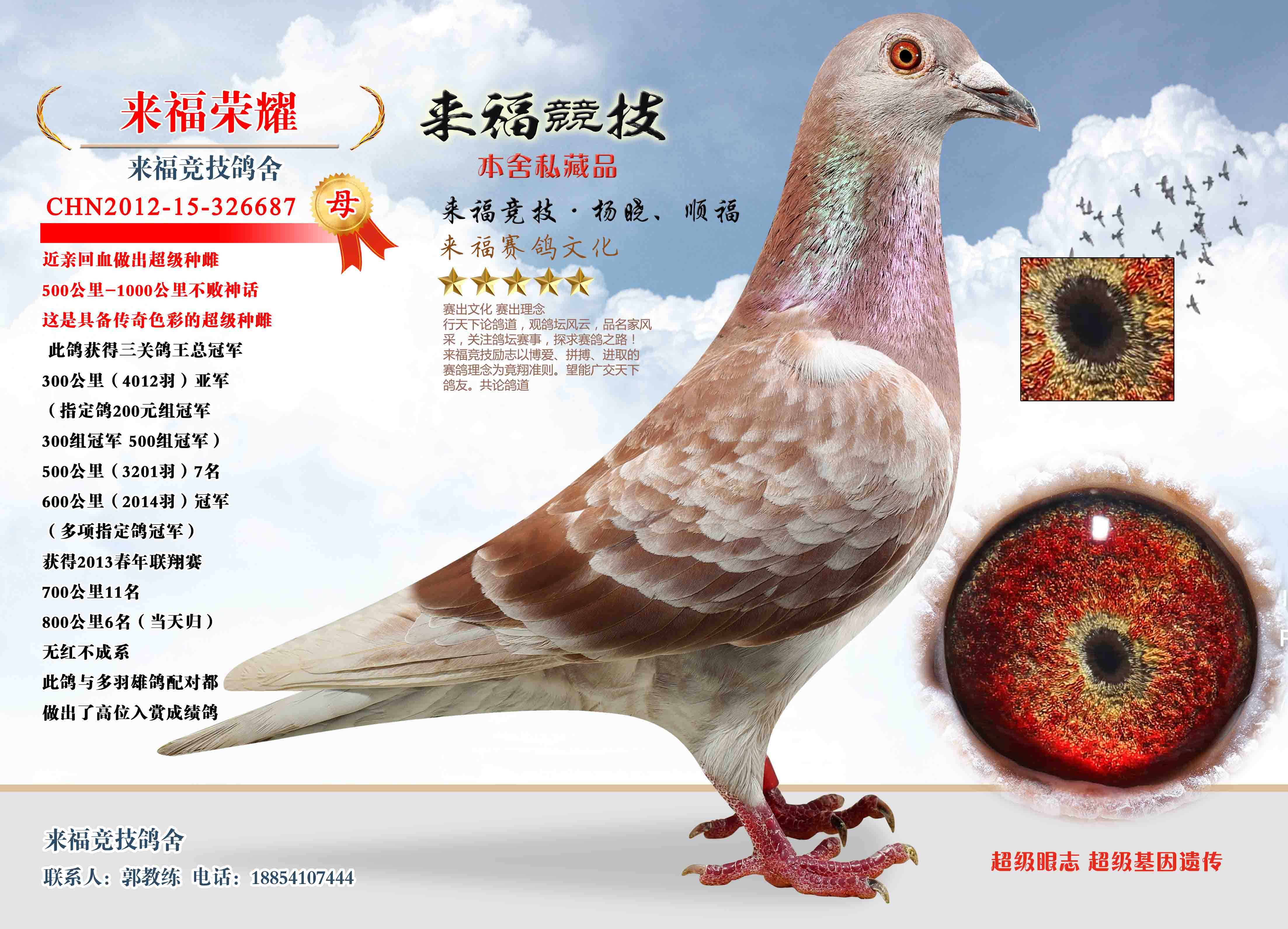 三关冠军_来福竞技_ ag188.com爱鸽商城_中国信鸽信息网
