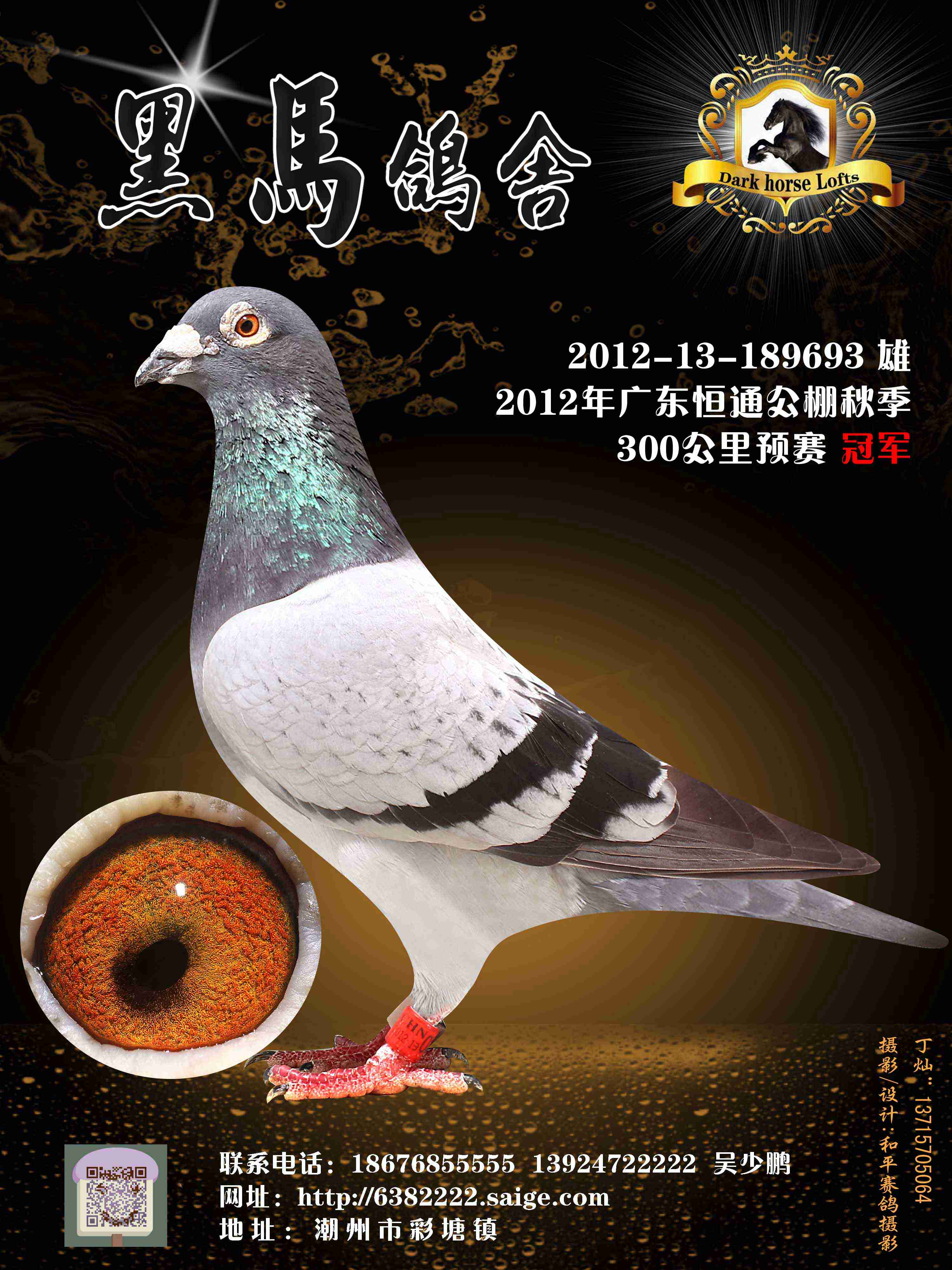 12年广东恒通公棚秋季300公里预赛冠军