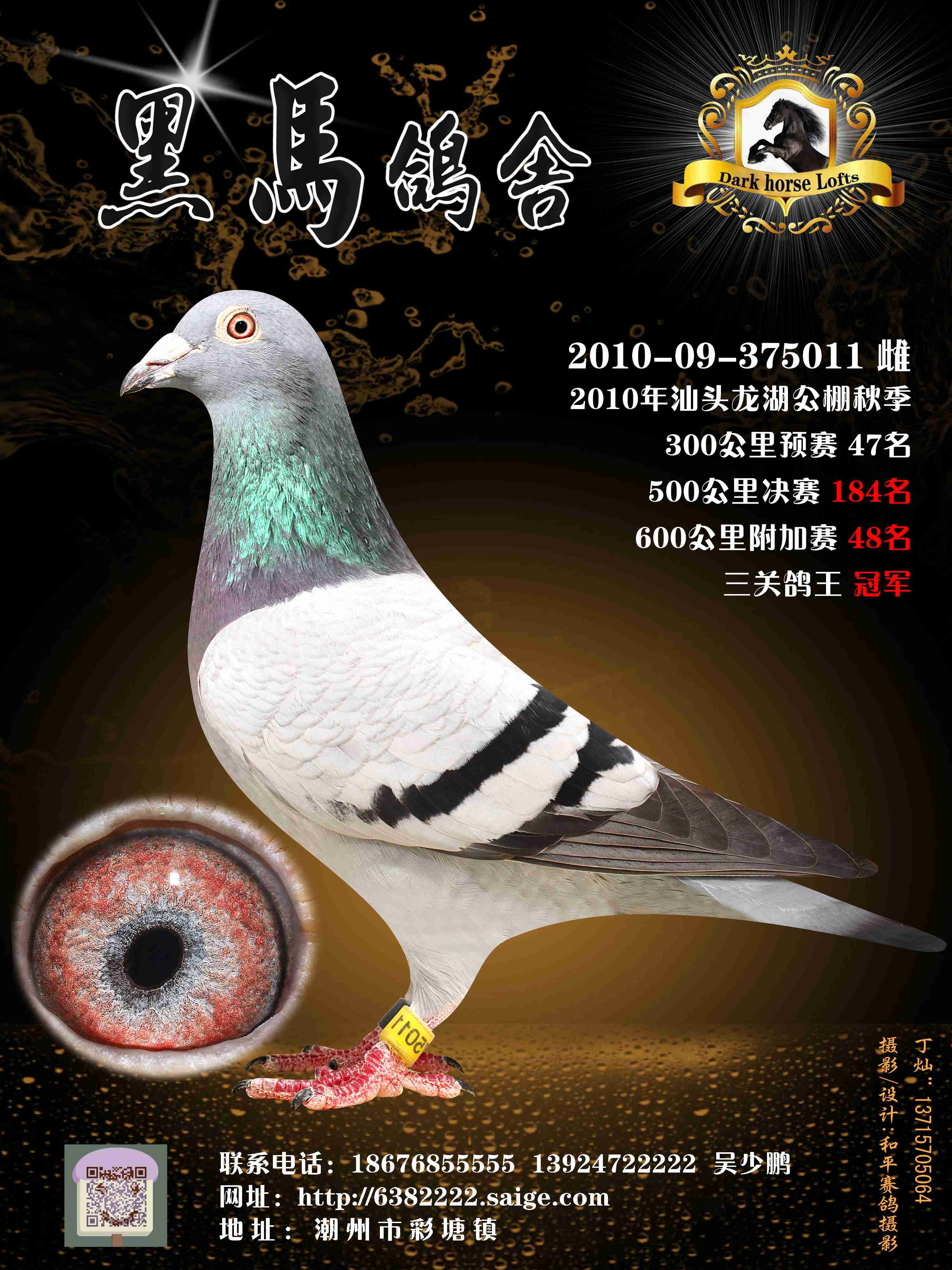 联系我们鸽友留言展厅相册鸽圈动态推荐配对在线购买信鸽拍卖历年赛