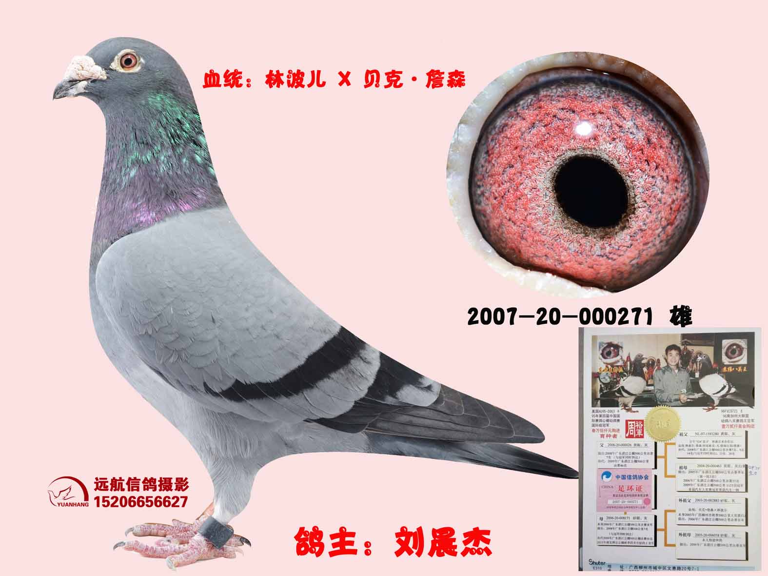 林波儿 x 贝克·詹森