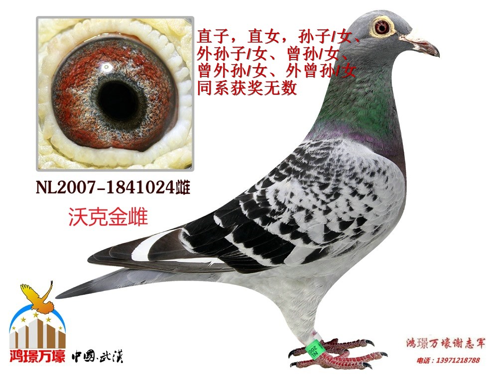 北京惠翔决赛16名