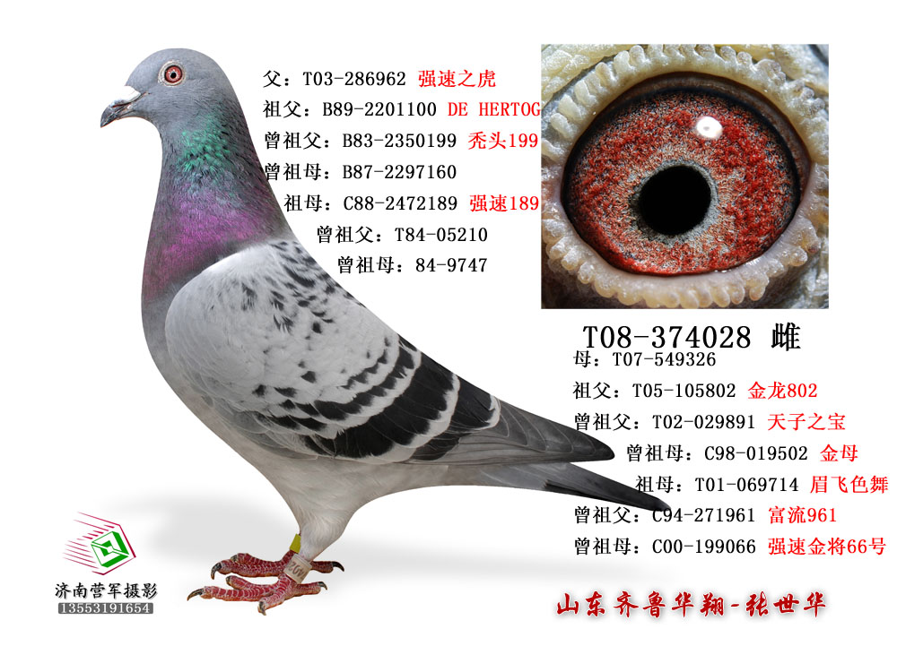 徐州爱翔公棚26名