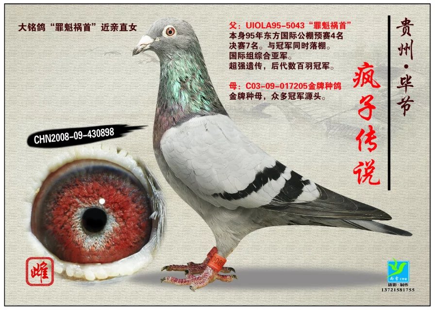 罪魁祸首近亲直女