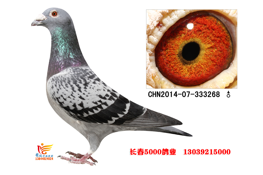 加入级别:标准展厅关注展厅:关注总访问量:2003673所在省份:吉 林展示
