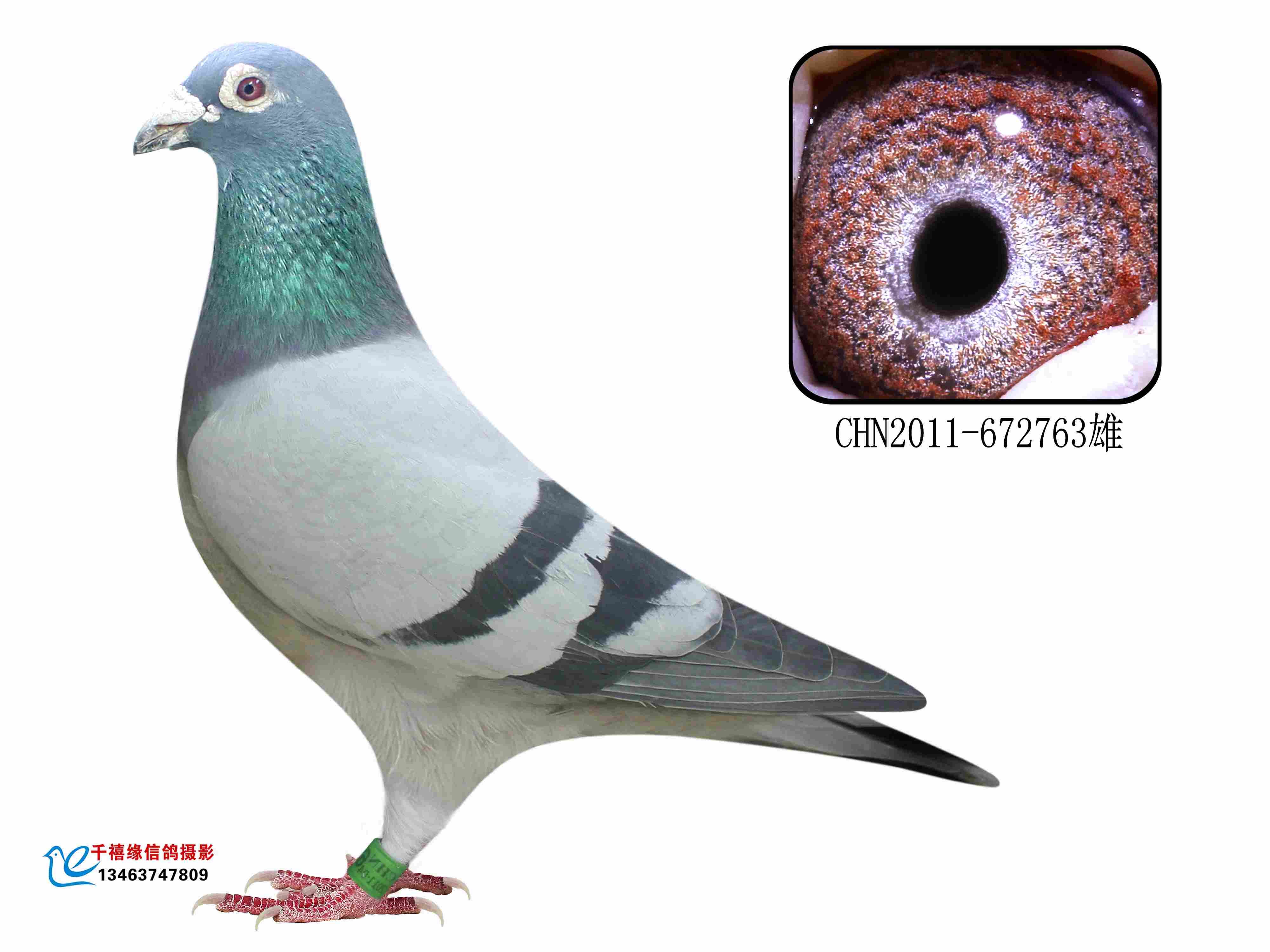 苏维贝克詹森763