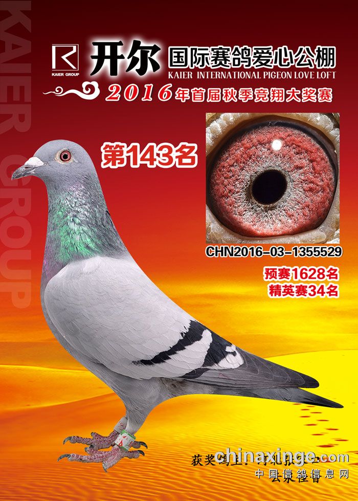 开尔公棚决赛143名