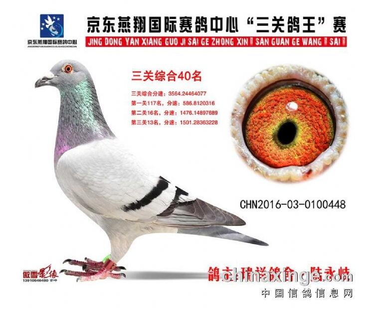 京东燕翔国际赛鸽中心图片