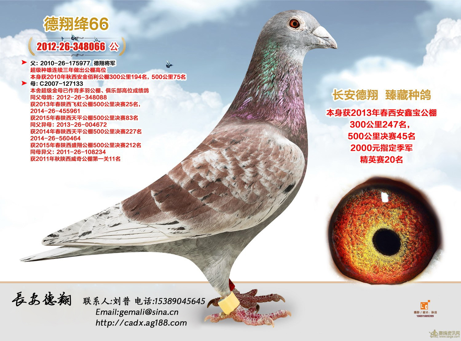 德翔绛66【已售】