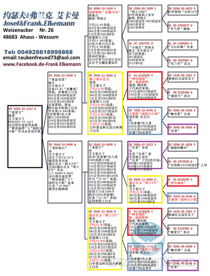 信鸽回血提纯公式图片图片