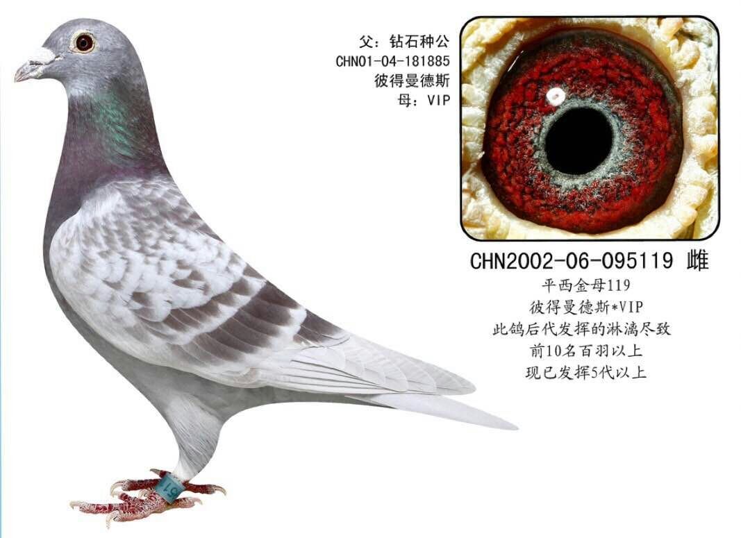 东方不败(孙女)