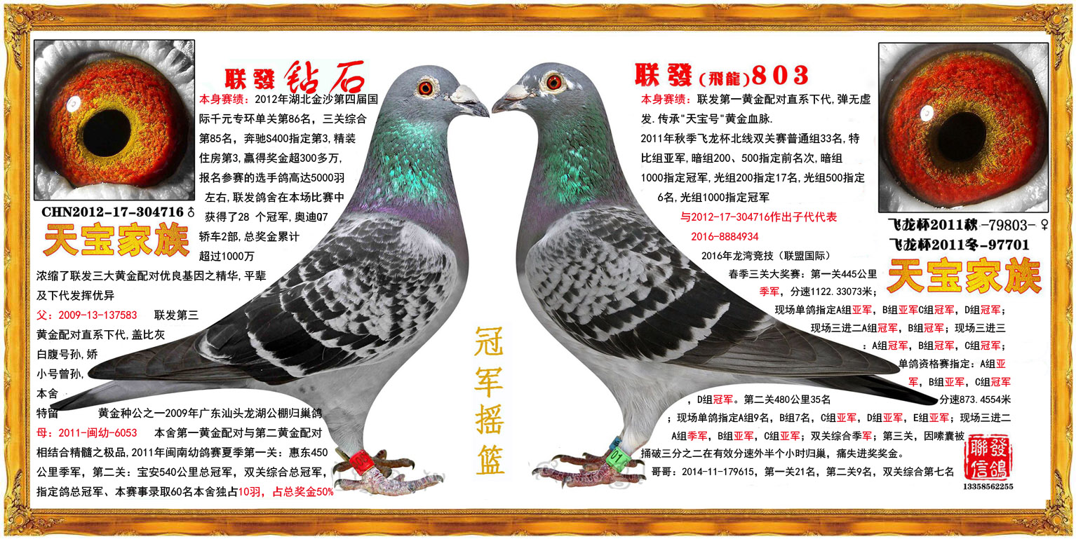 联发934