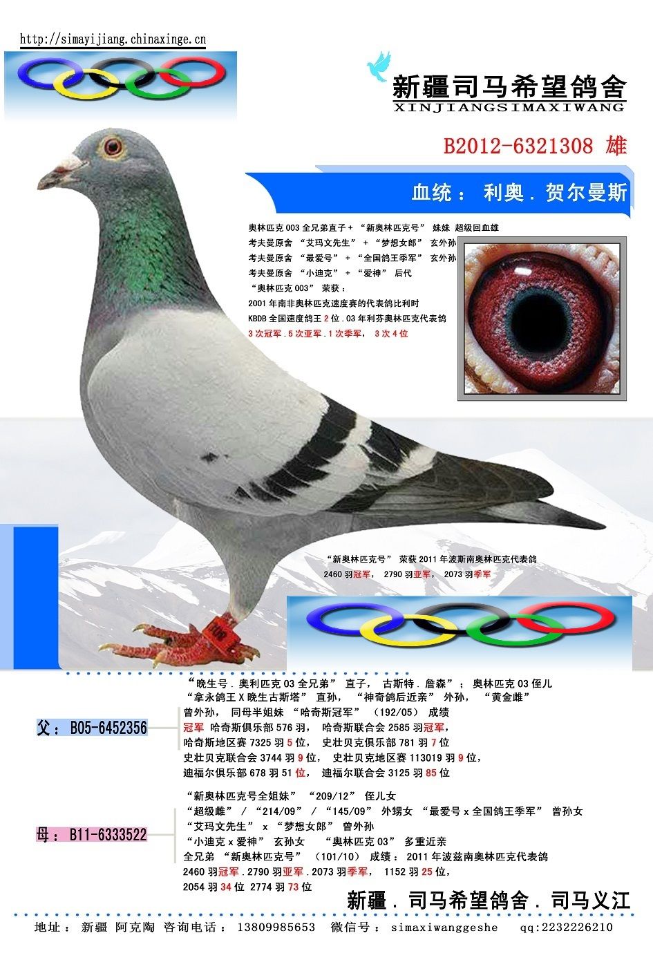 belg2012-6321308 副本