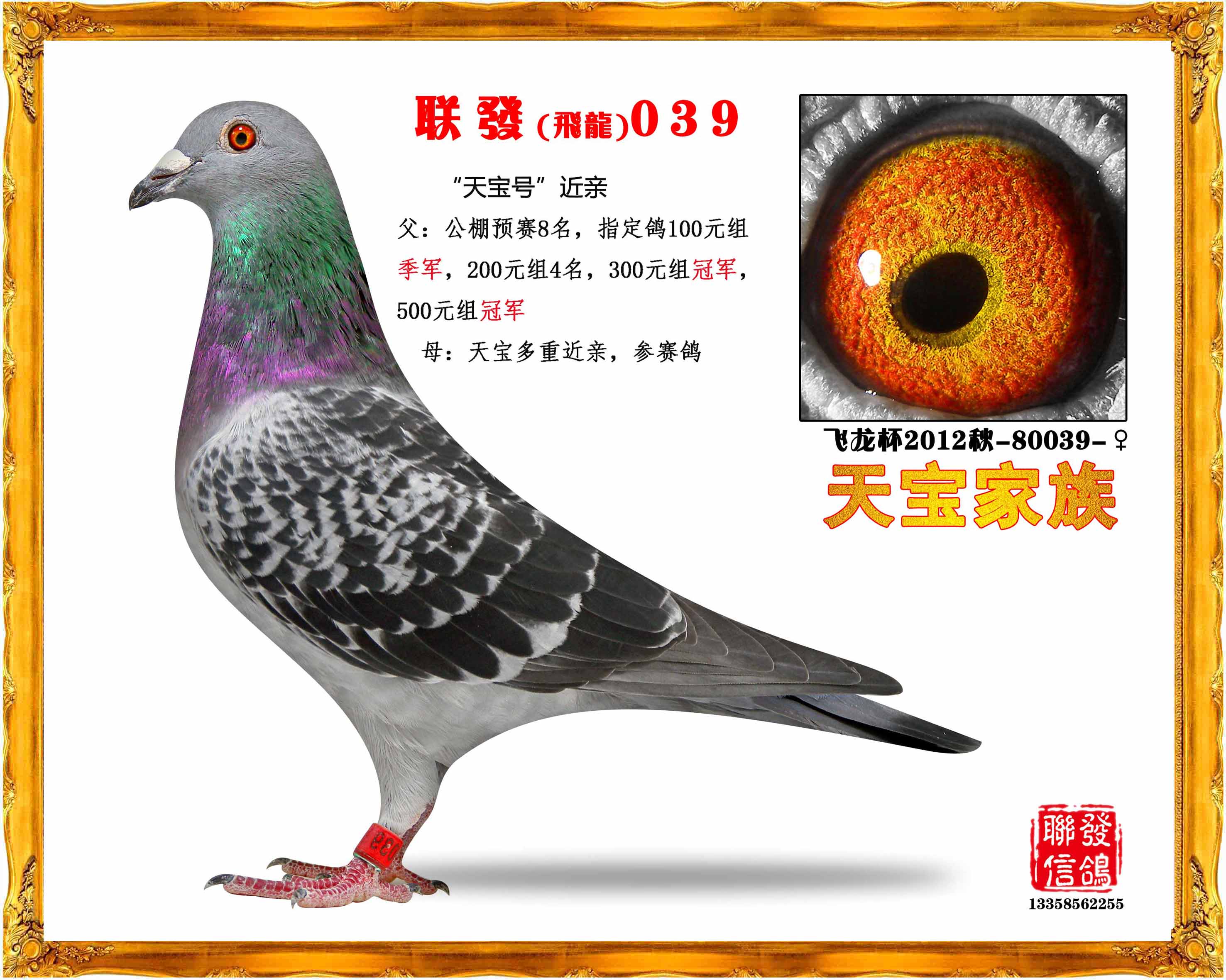 您要找的联发信鸽展厅服务时间已到期