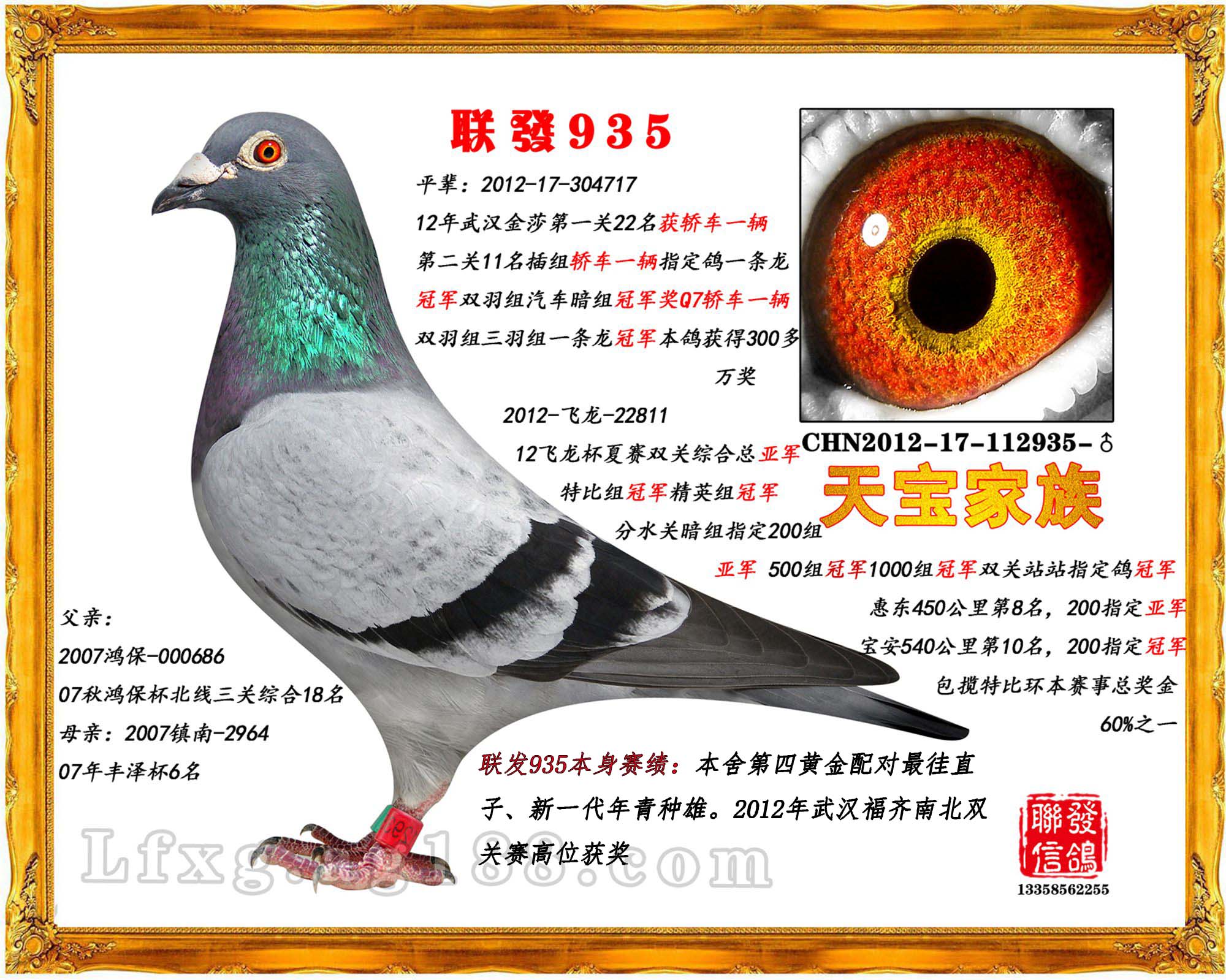 chn2012-17-112935_联发信鸽-中信网爱鸽商城