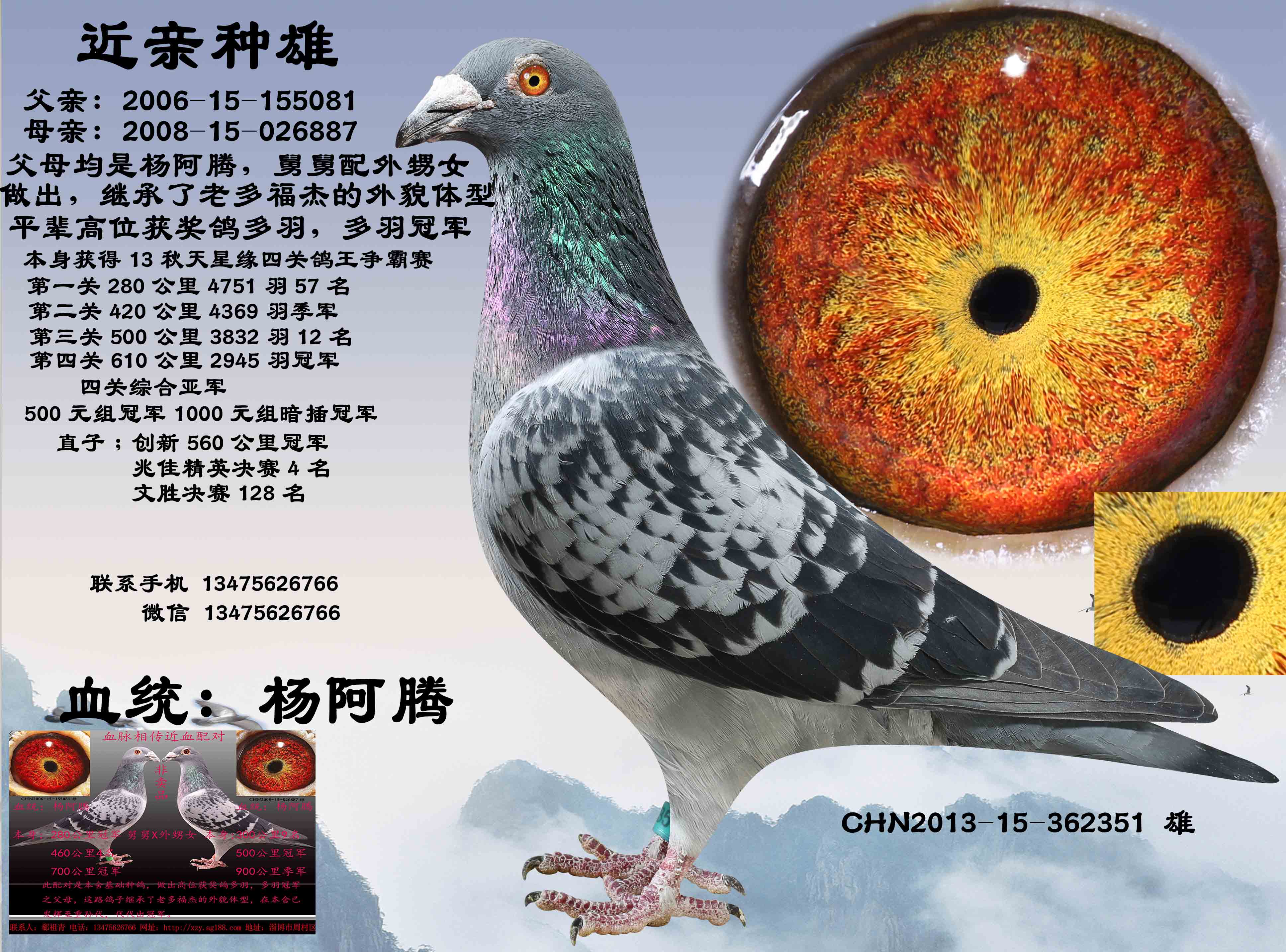 近亲种雄351