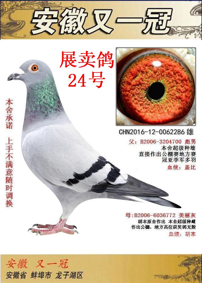 盖比配胡本