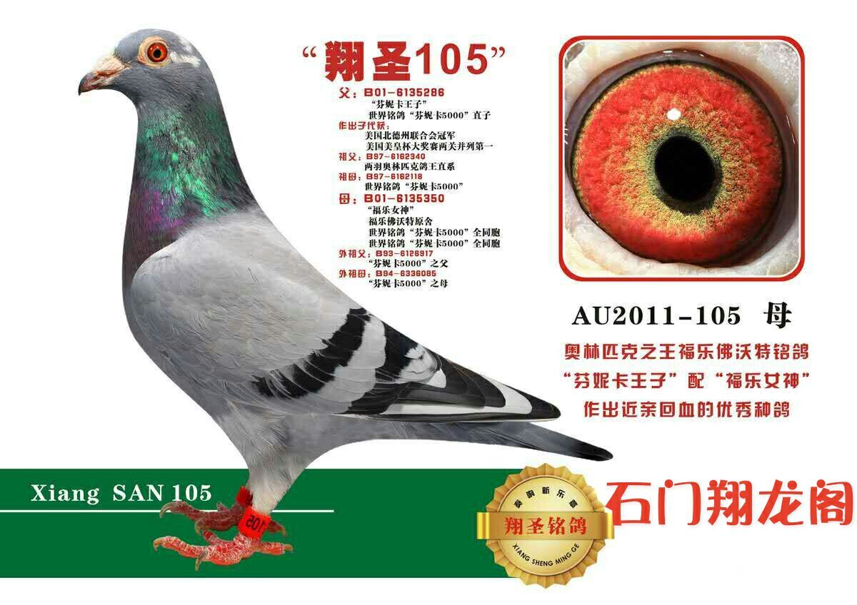 "芬尼卡5000"直孙女