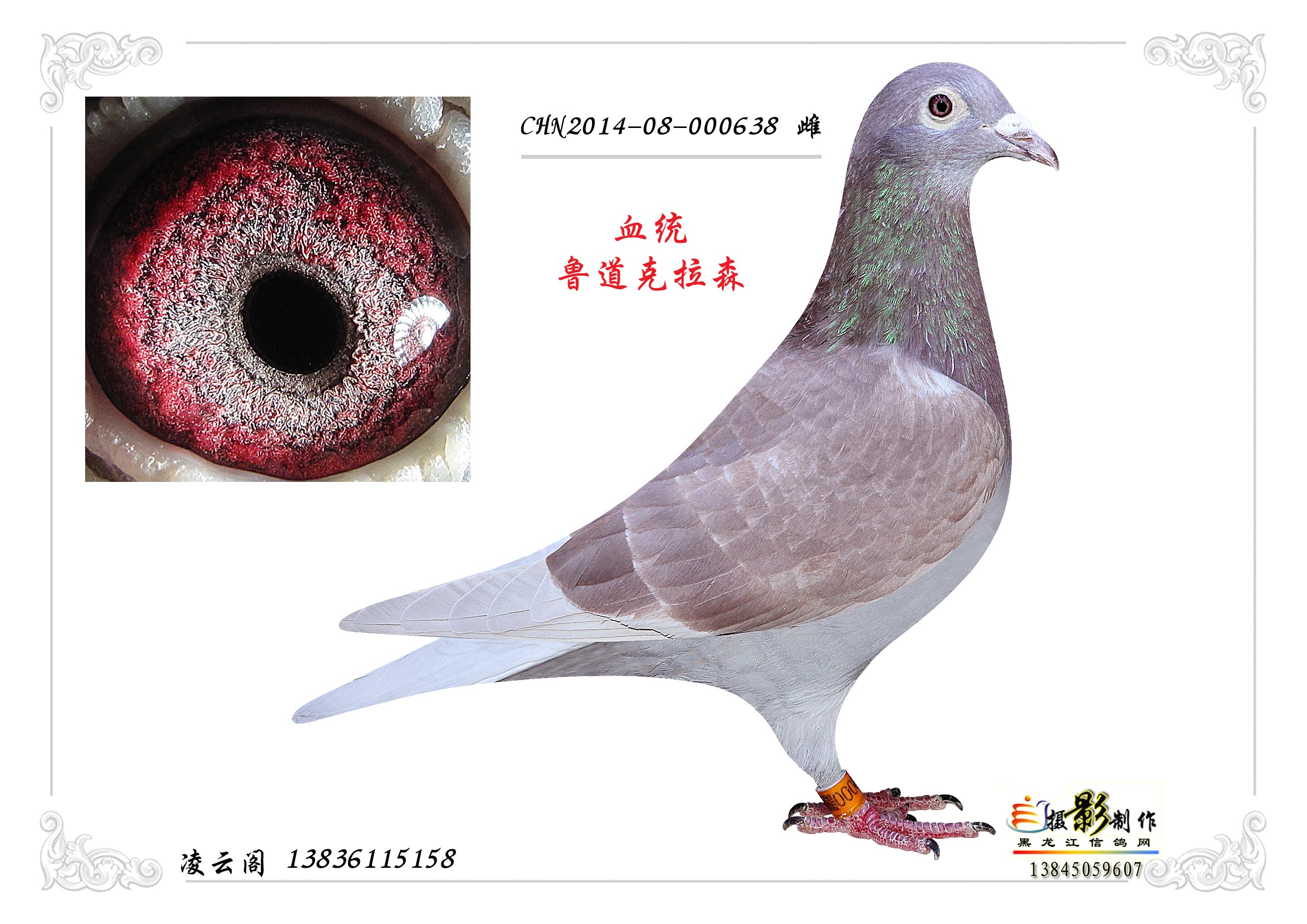 鲁道克拉森
