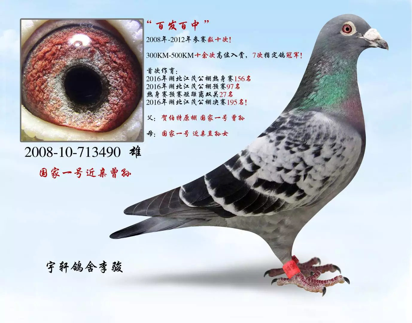 国家一号"百发百中"直子