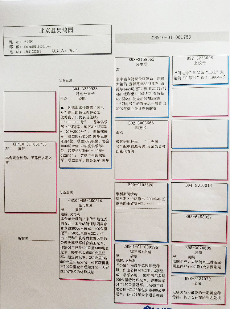 惠比特盖文血统表图片