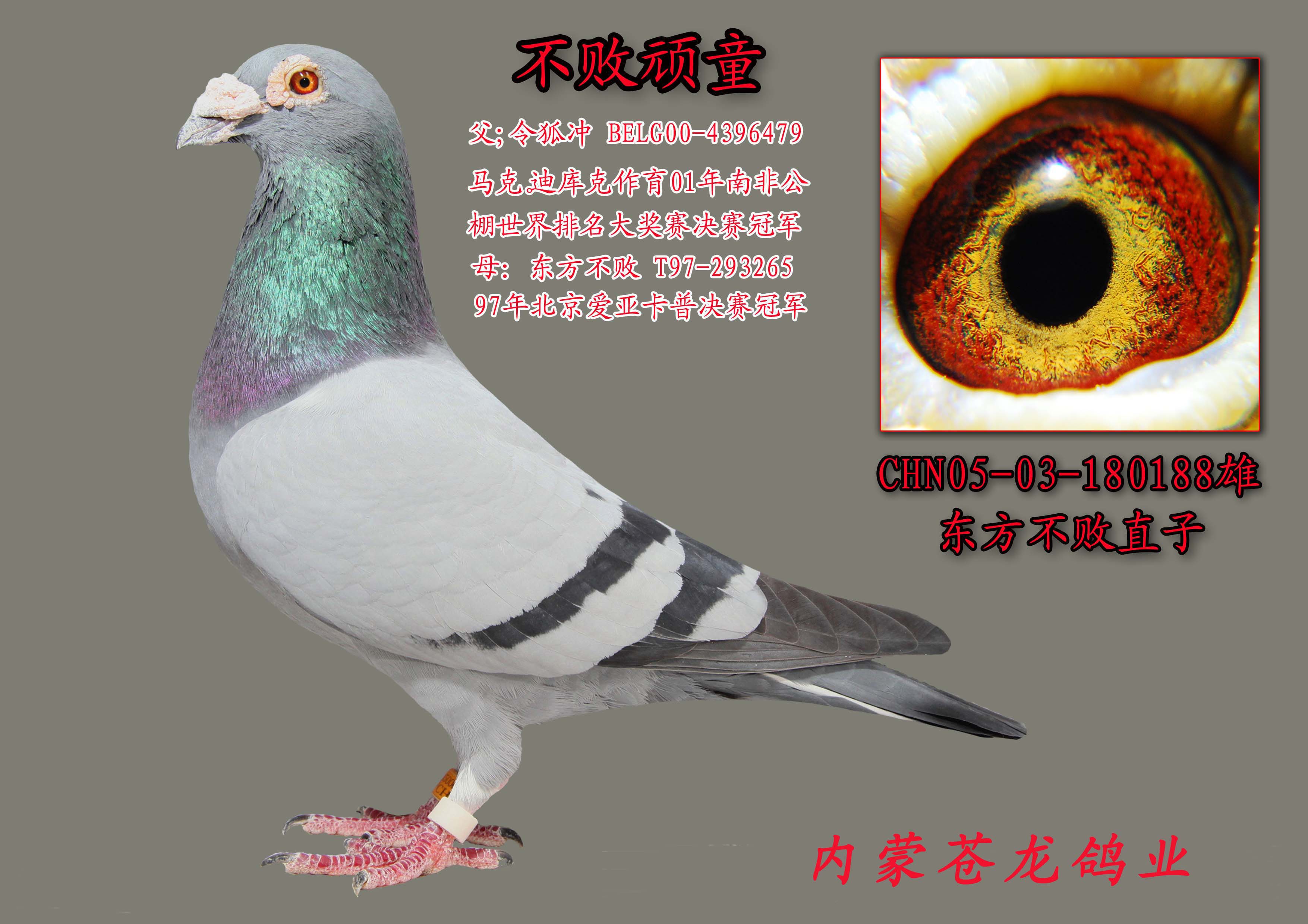 父:东方不败直子.不