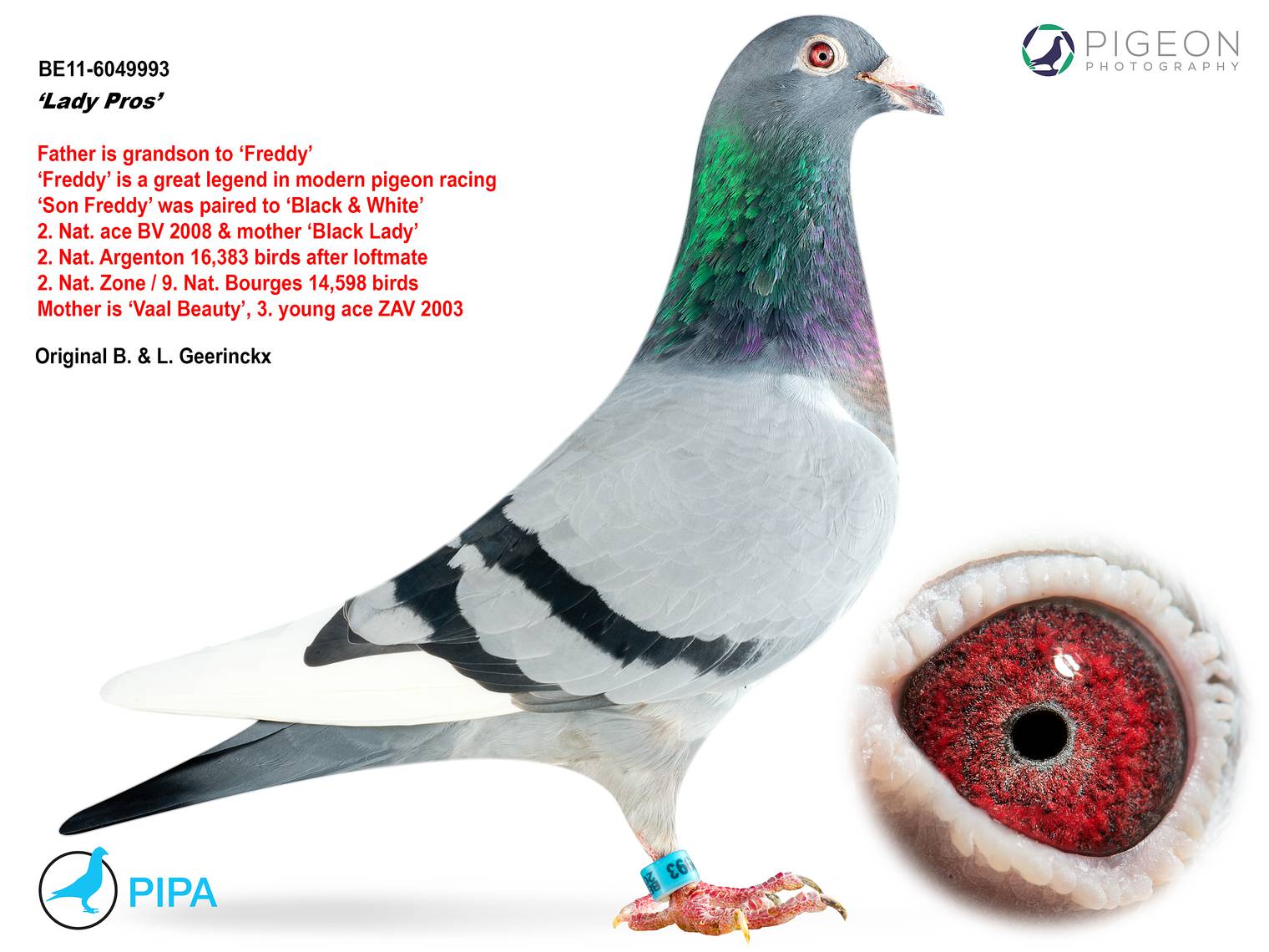 吉林克斯超级赛将