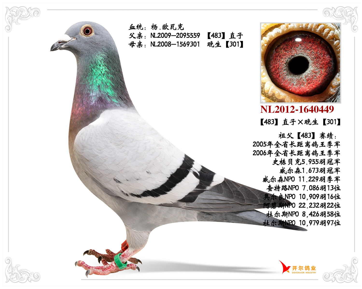 杨欧瓦克至尊双雄之483直孙