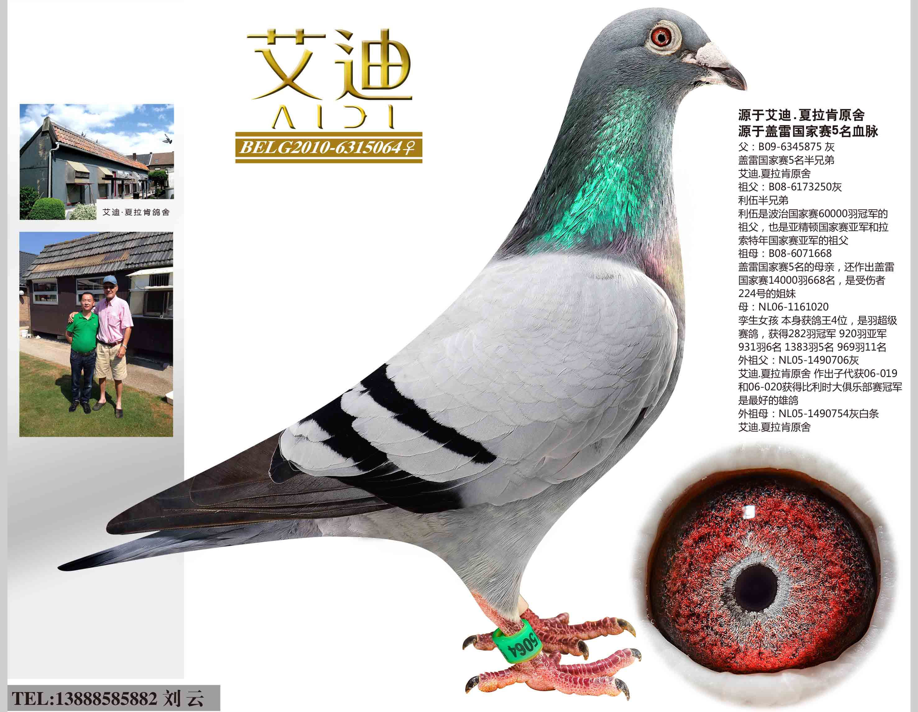 艾迪