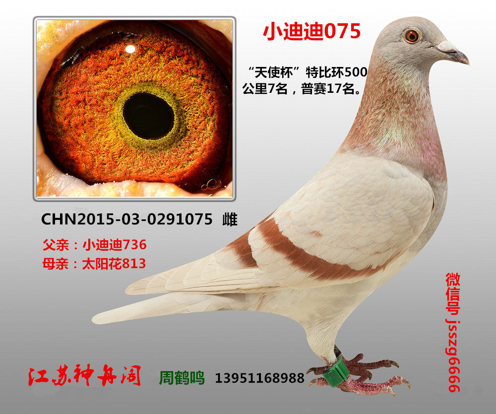 小迪迪075