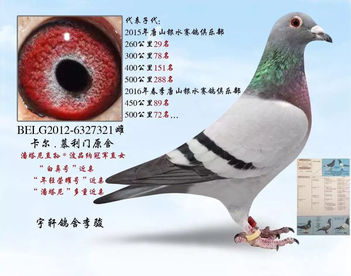 卡尔.慕利门原舍